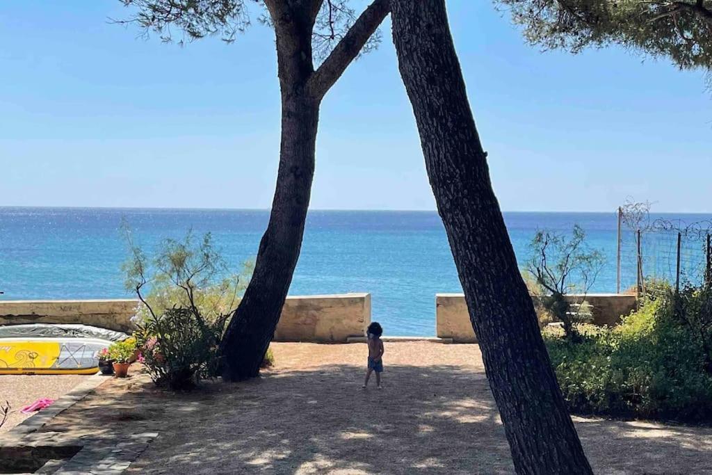 Cocon Les Pieds Dans L'Eau Acces Direct A La Mer La Ciotat Exterior photo